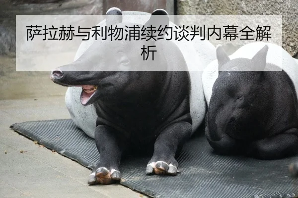 萨拉赫与利物浦续约谈判内幕全解析