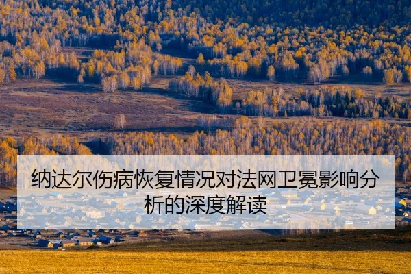 na-da-er-shang-bing-hui-fu-qing-kuang-dui-fa-wang-wei-mian-ying-xiang-fen-xi-de-shen-du-jie-du-2-384.jpg