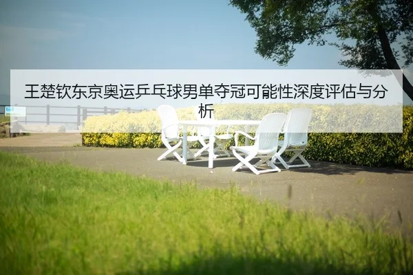 wang-chu-qin-dong-jing-ao-yun-ping-pang-qiu-nan-dan-duo-guan-ke-neng-xing-shen-du-ping-gu-yu-fen-xi-2-173.jpg